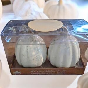 NEW 10 Strawberry Street white ceramic pumpkin salt and pepper shakers